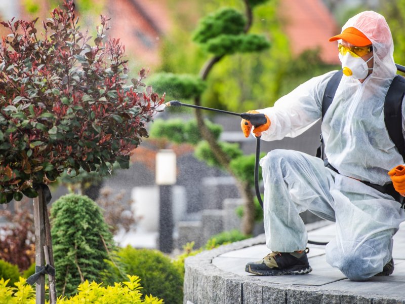 Pazarlar Haşere İlaçlama